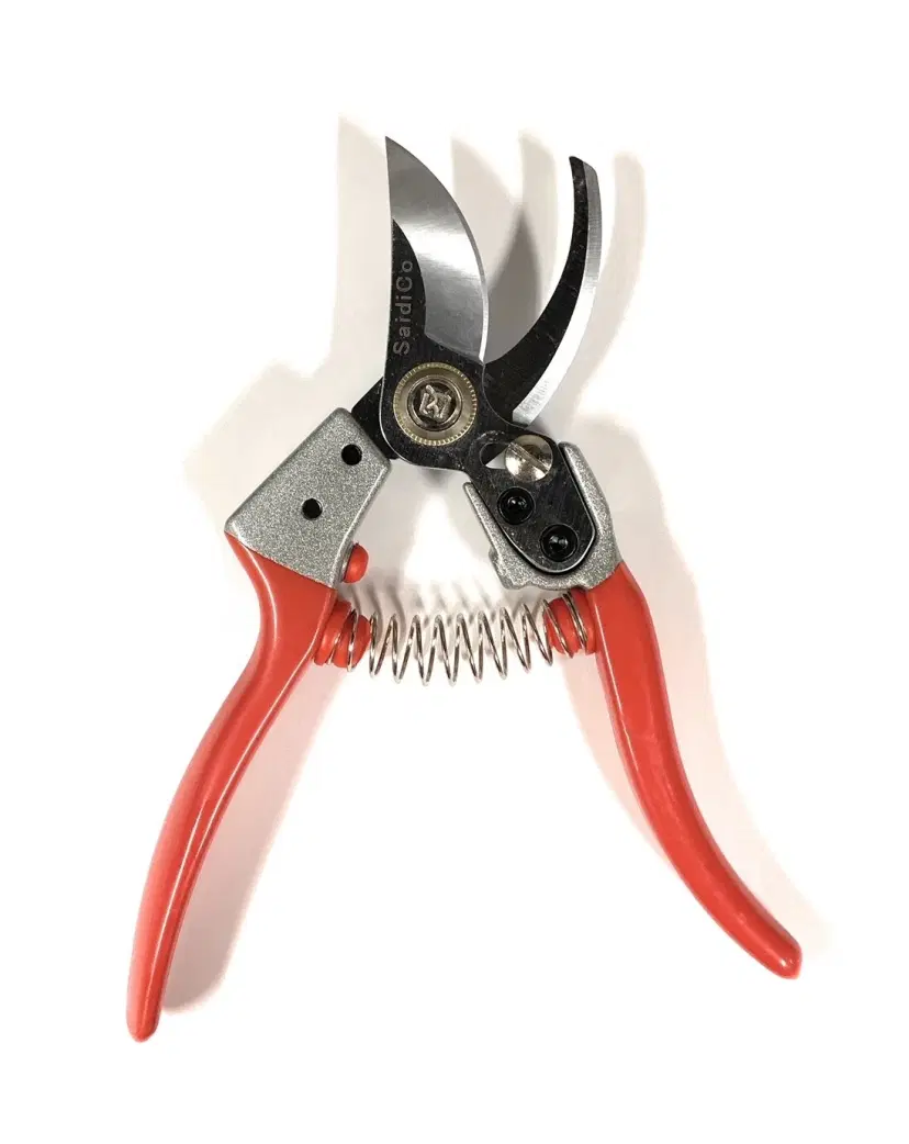 SaidiCo Ergo P1 Commercial Grade Pruner SK5 Blade